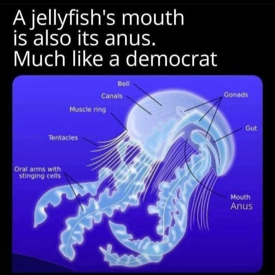 Maybe this helps 👇🏽👇🏽