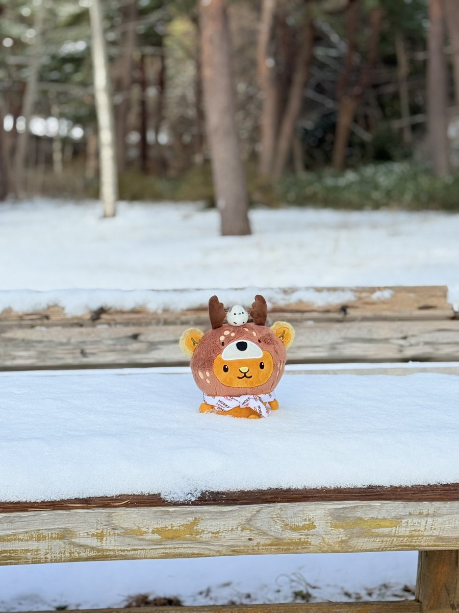 キュンちゃん【公式】 (@kyunchan_dc) / Posts / X