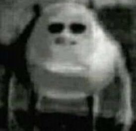 Madre Cangrejo tweet media