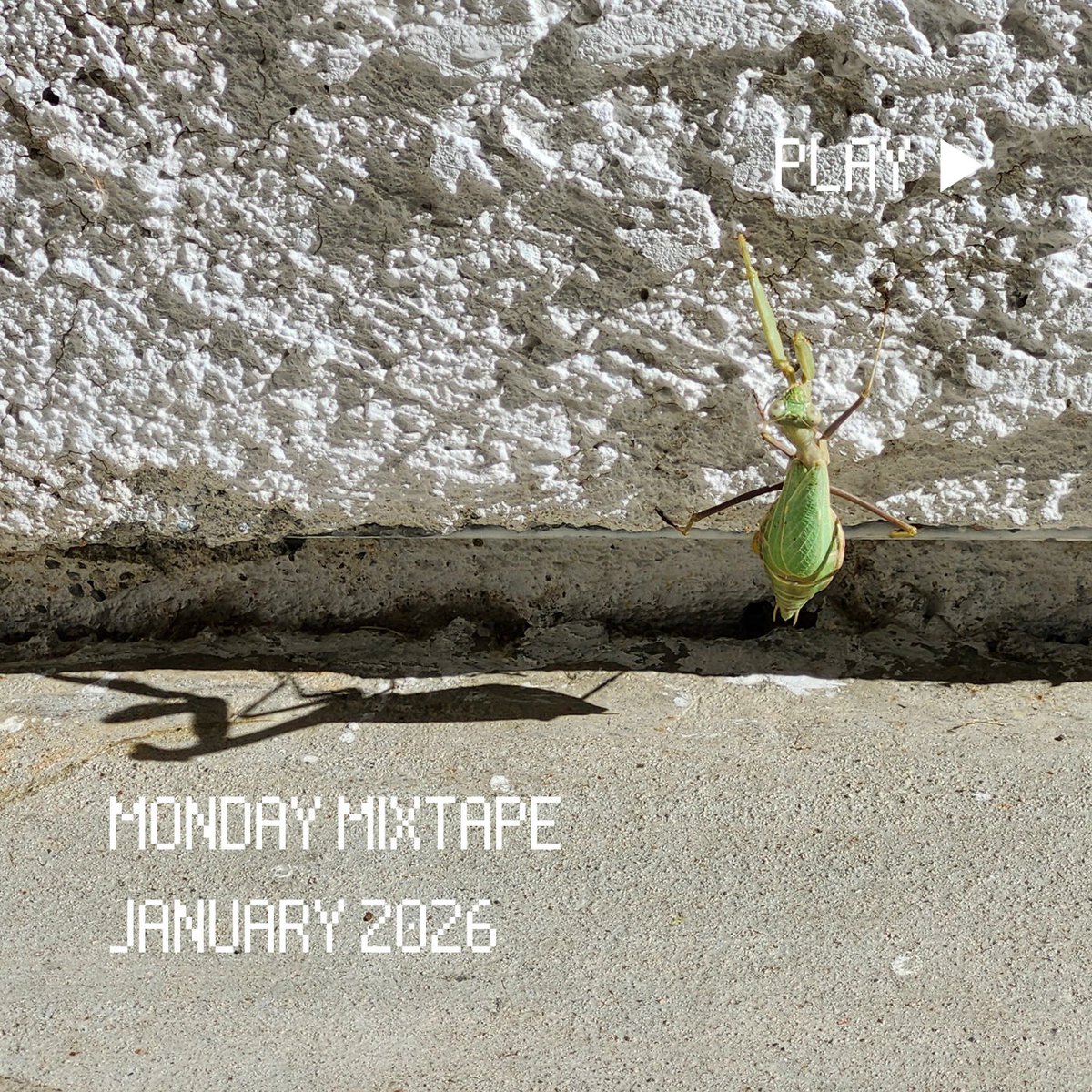 That Buzzing Sound tweet media