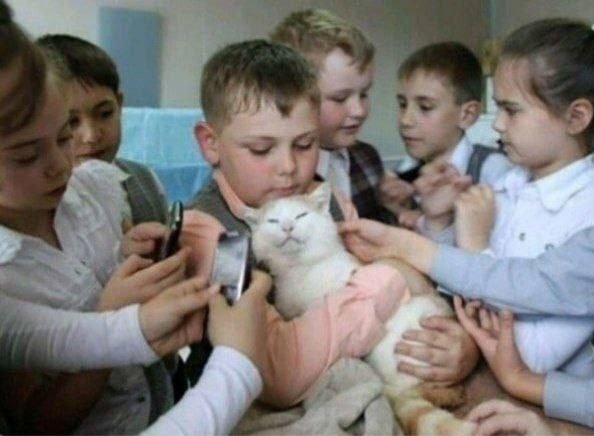 kriptokot192929's tweet photo. #cat #dangerouscat https://t.co/CSpCo34gnX
