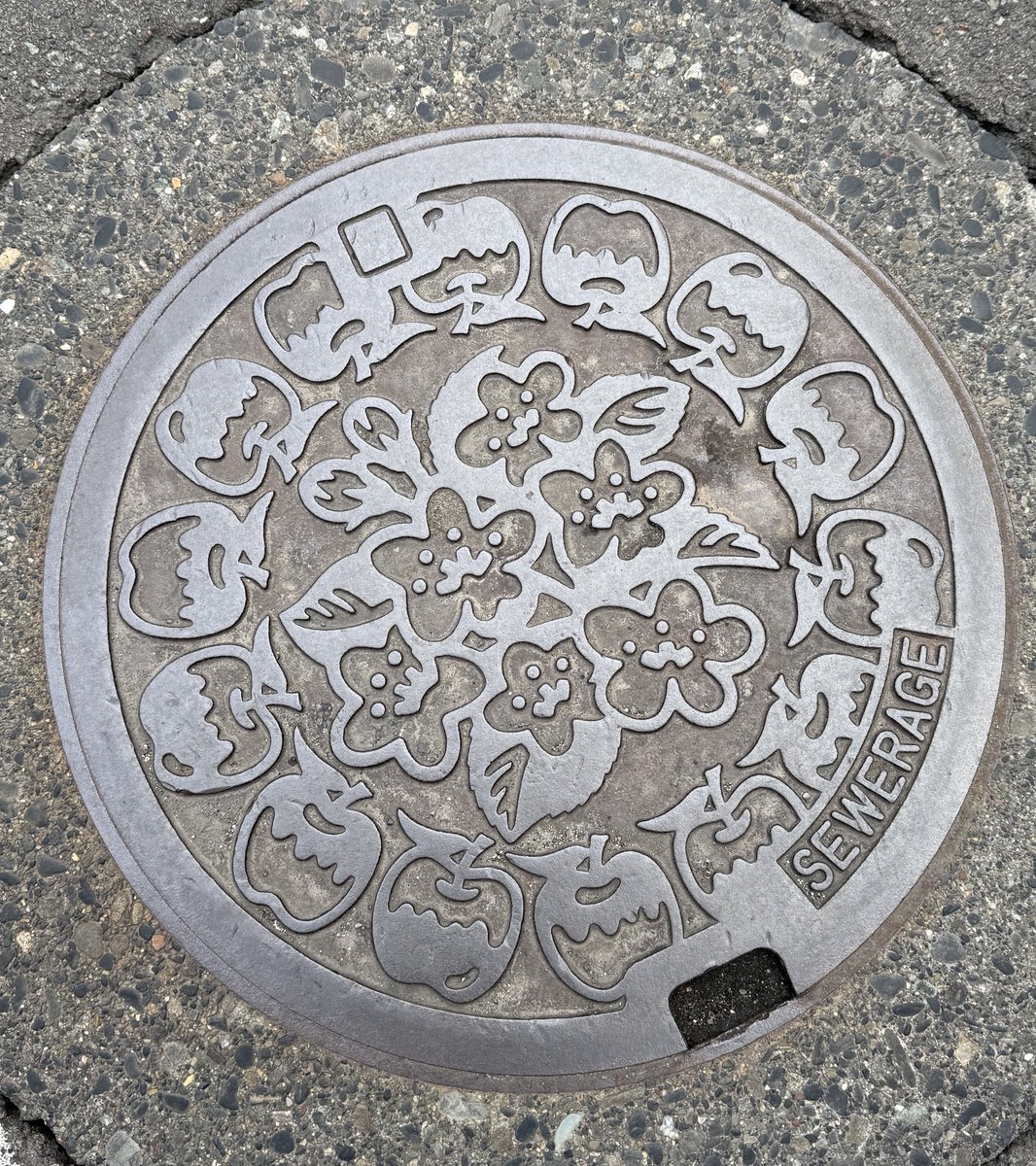 長野のマンホール、リンゴだった🍎
