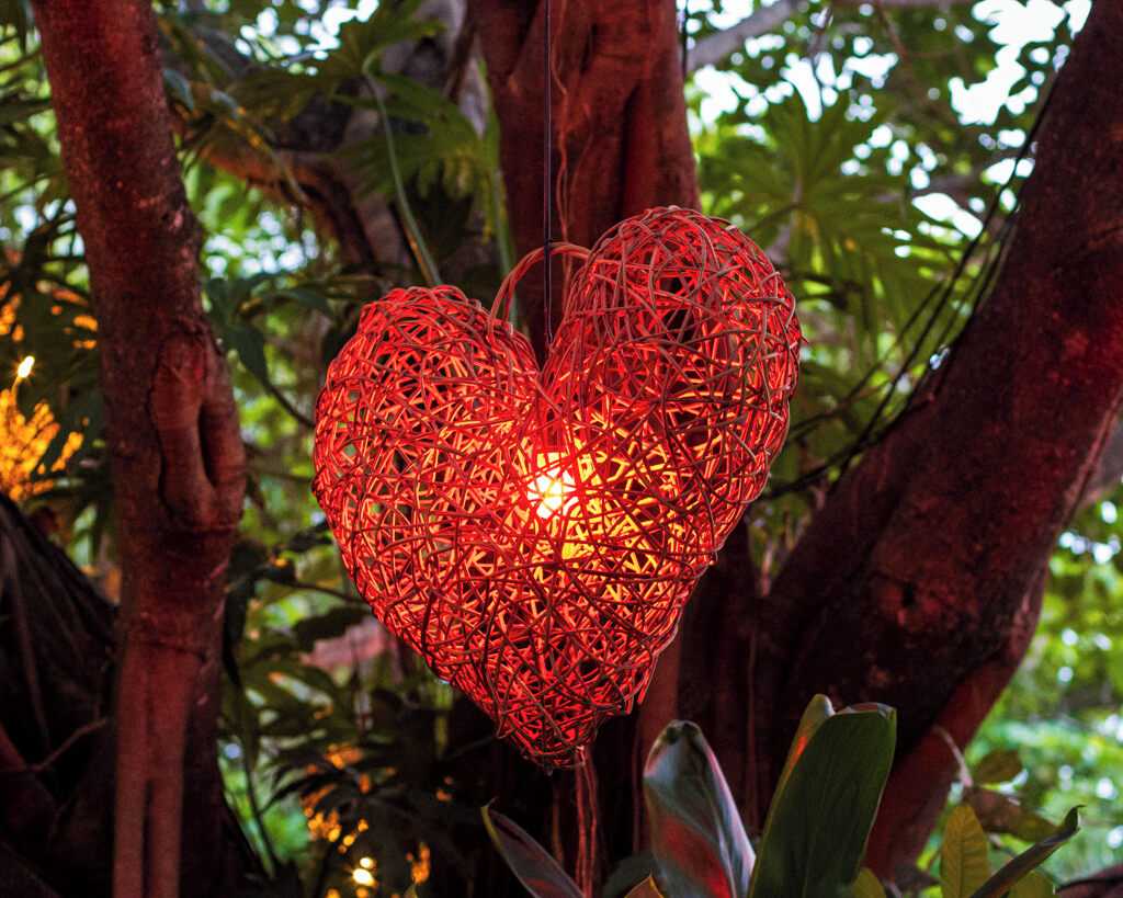 Little details that steal your heart at first sight. 💕🌿
Experience them at #TheFivesBeachHotel  

👉 Book your experience with us. 
bit.ly/TheFivesHotels
#TheFivesHotels #RivieraMaya #FeelTheFives