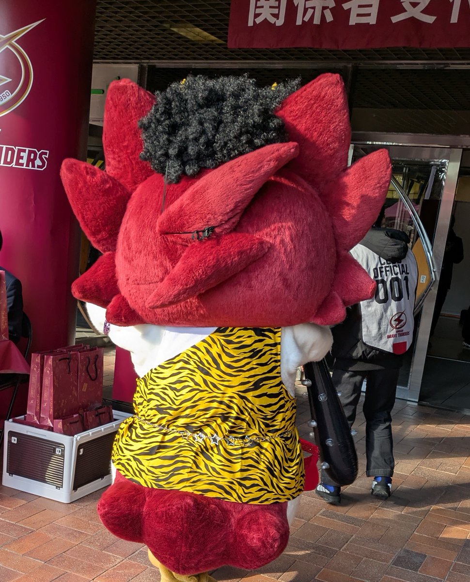 mtykbt3's tweet photo. 今日は節分ですね👹
後ろ姿のもじゃもじゃ頭もかわいい鬼さんロウル🥰
#ロウルかわいいよロウル 
#川崎ブレイブサンダース https://t.co/vxGTVvgYrh