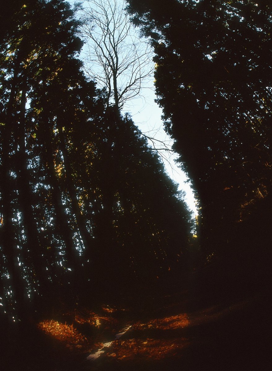 写真家 藤本篤史の写真展「切れない臍の緒」が、東京 新宿のTOTEM POLE PHOTO GALLERYにて、本日より2月15日（日）まで開催。ノストフォビア（帰郷嫌悪）をテーマにした個展で、写真はポジフィルム、映像はminiDVを使って制作。

詳細 genic-web.com/articles/29989…