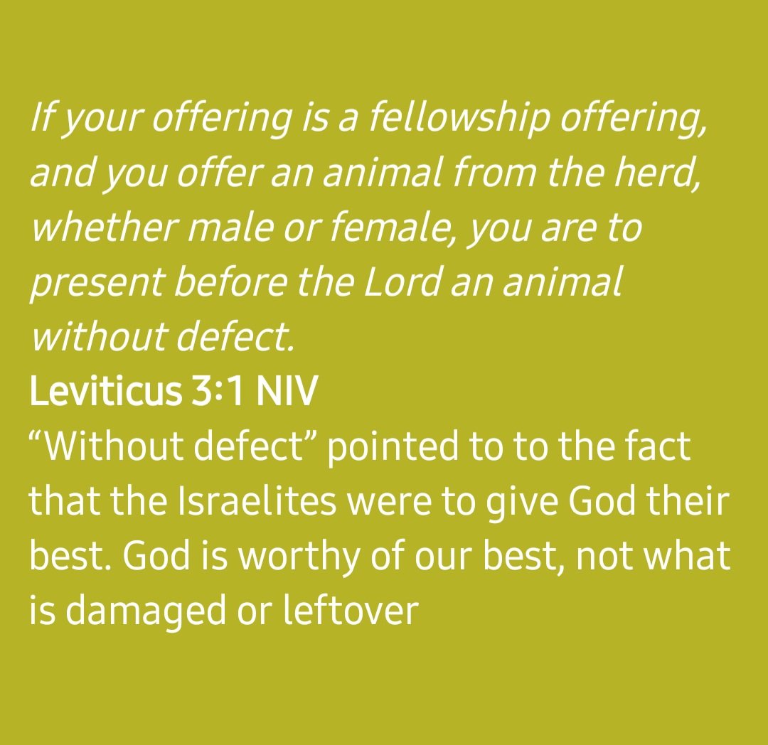 Pastor M tweet media