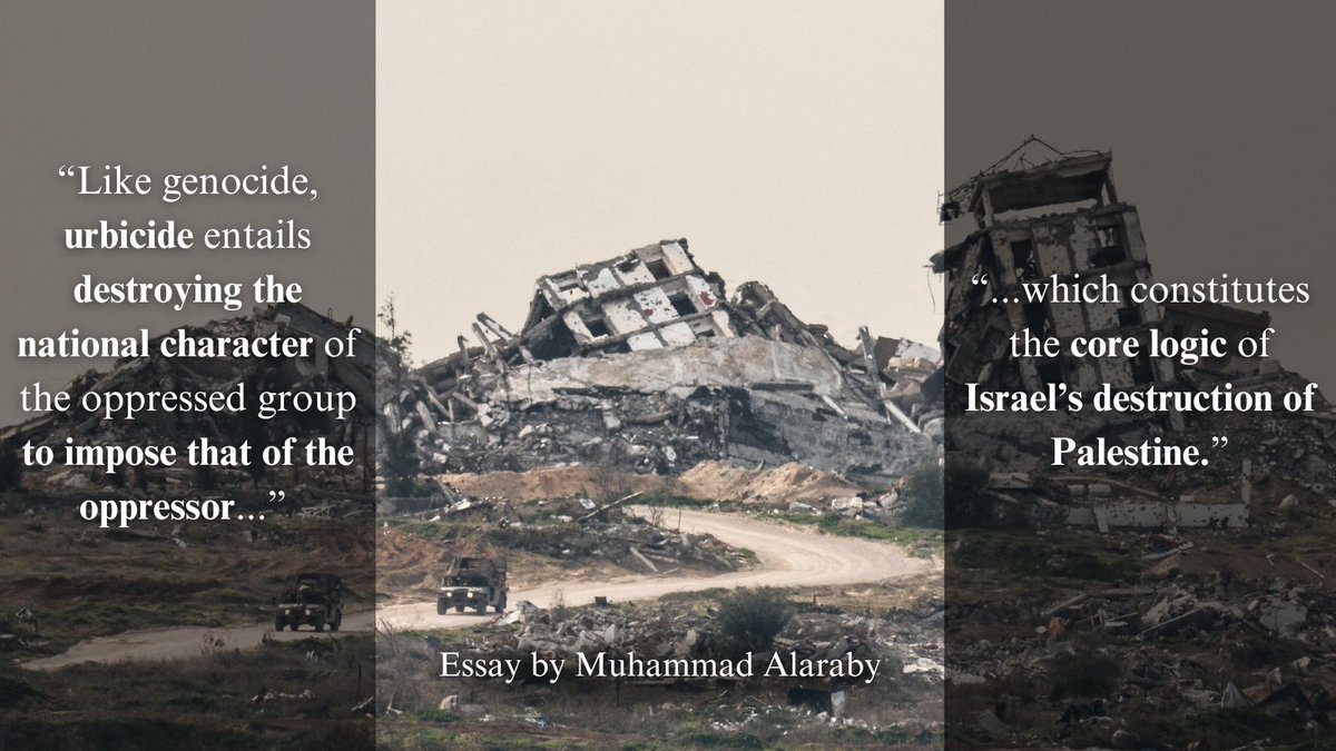 Cairo Review tweet media