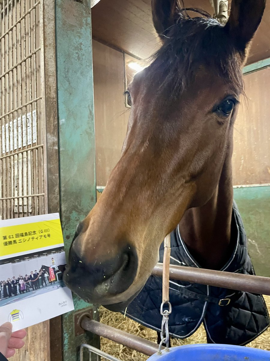 応援 タイミング合えば、行かせてもらいます! 頑張って欲しいです!!