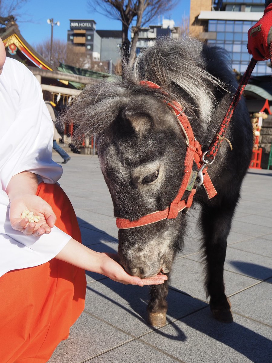 KON🐉☆取引垢 (@cordieritestar) / Posts / X