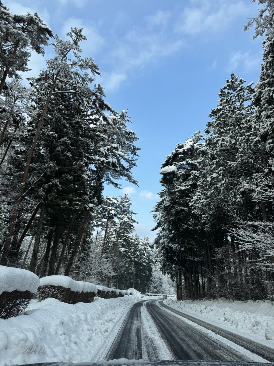 ukekotan's tweet photo. 雪景色だけ見てれば綺麗でいいんだけどねー。暮らすのは難儀だ https://t.co/2fl8UXv0w0