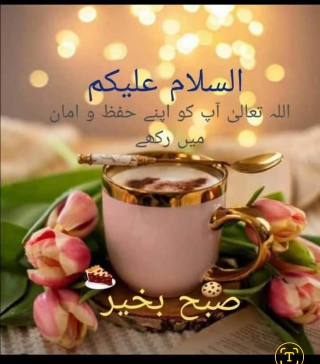 امان اللہAman ullah tweet media