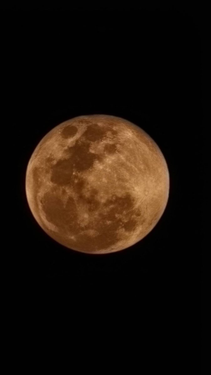 TheMasterEngin's tweet photo. คืนนี้ 2 กพ2569 ขึ้น15ค่ำ เดือน3 พระจันทร์เต็มดวง สุกสกาวสวยมาก 
     นายหัว นั่งชม พระจันทร์ยามราตรี กลางสวนสวย อาบแสงจันทร์ อิ่มบุญ ที่ #ฟาร์มนายหัว  #สวนสวย #นิวโคบาลฟาร์ม นศ. https://t.co/RX3hnB5BTR