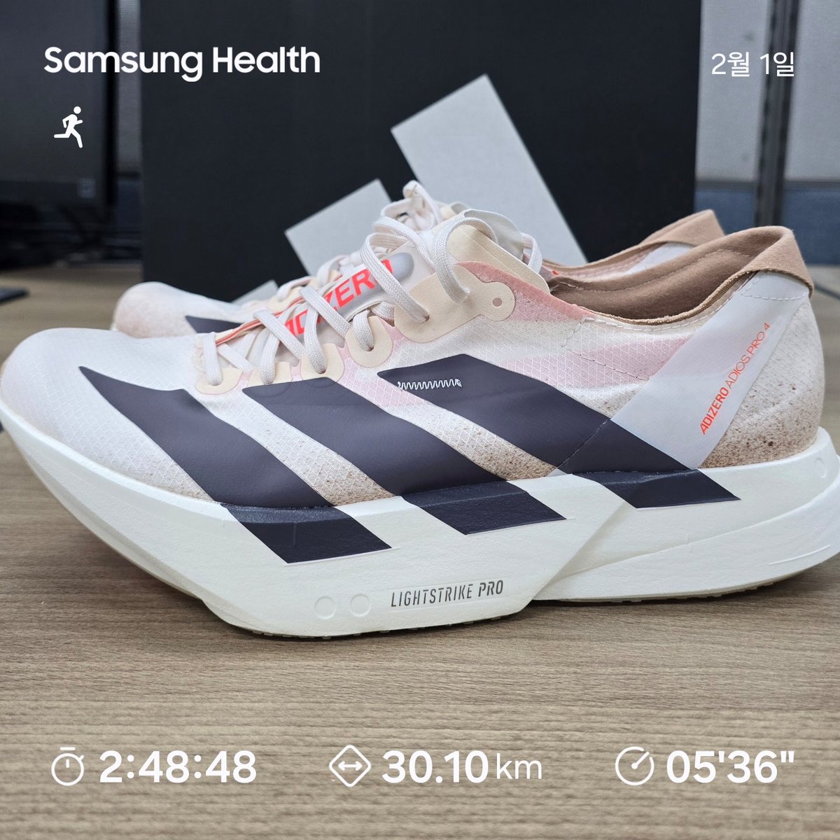 라니❤️하니부부 tweet media