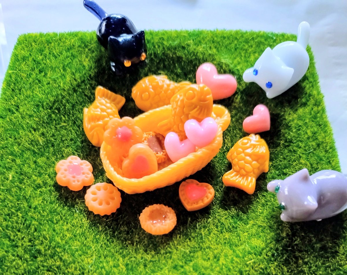 全部可愛い😻✨✨