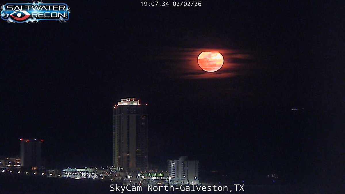 Saltwater-Recon.com tweet media