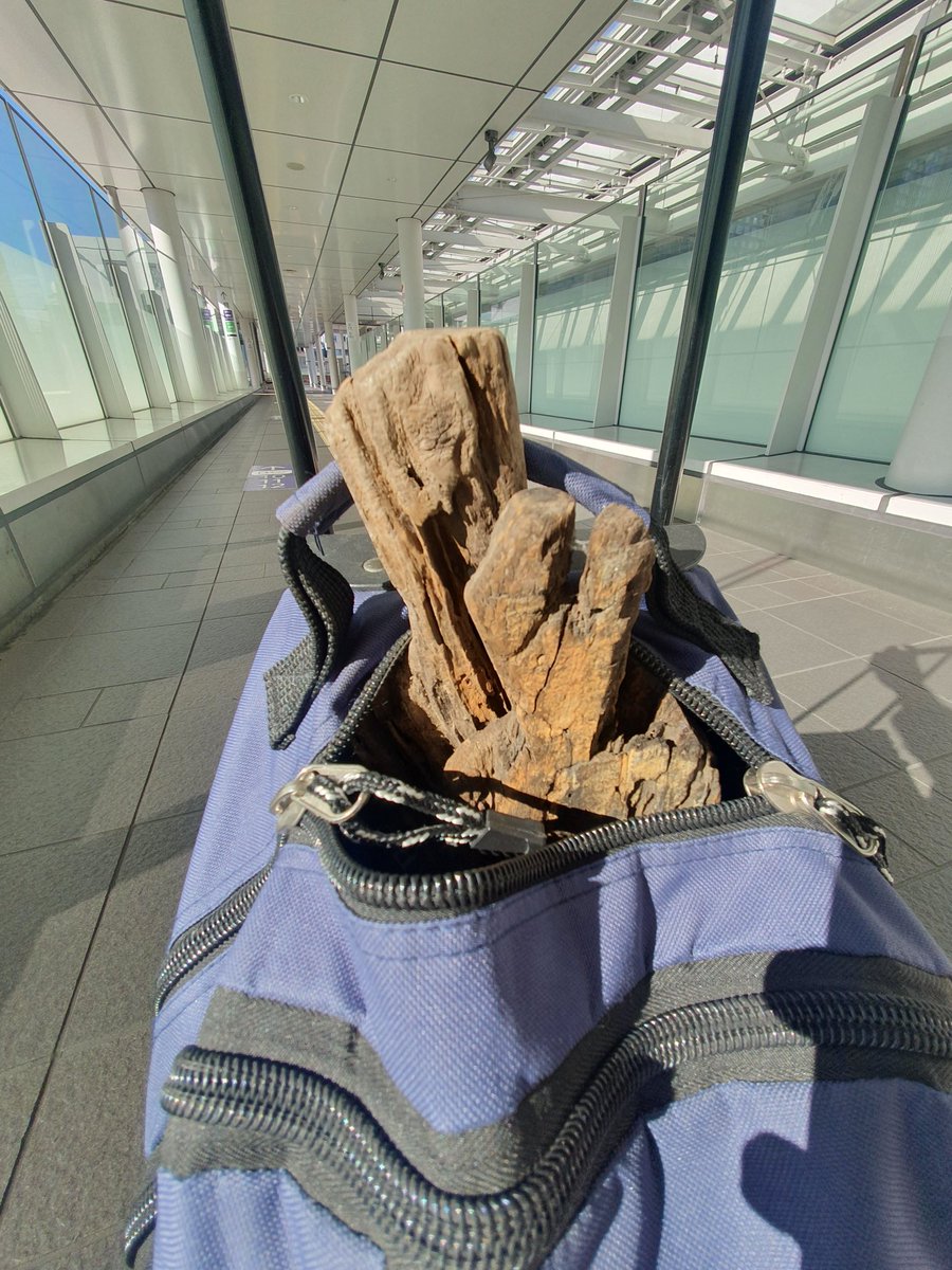 呪物が入りきらない。