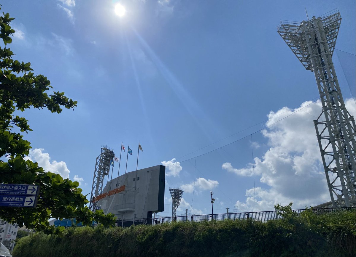 SSLfmyzig's tweet photo. 2026年球春到来🌸⚾️

95／沖縄
小さい頃からライオンズファンです🌺🦁
セリーグではドラゴンズを応援してます🐨

12球団どこのファンの方でも大歓迎です🙌気軽にお話しできる方と繋がれたら嬉しいです☺️

 #プロ野球ファンと繋がりたい
 #ライオンズファンと繋がりたい
 #ドラゴンズファンと繋がりたい https://t.co/2Pkqx4oGh4
