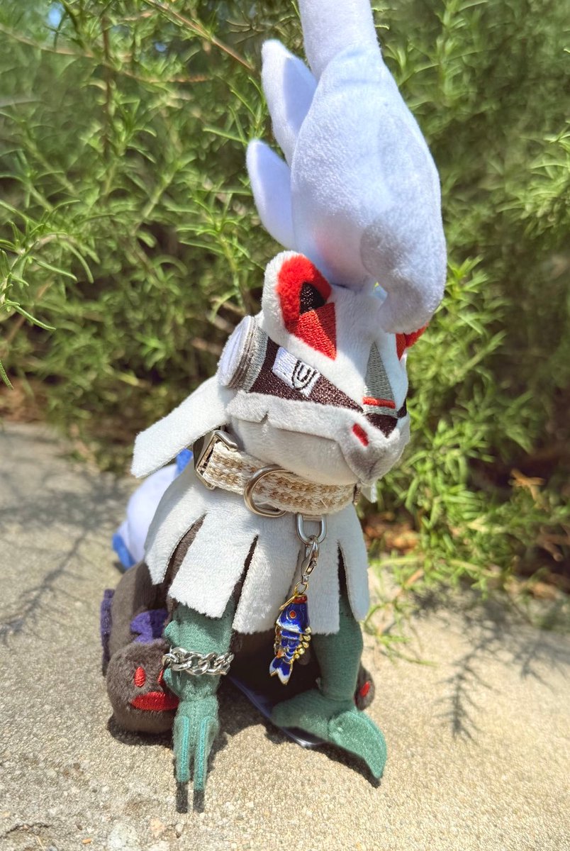 Charingo tweet media