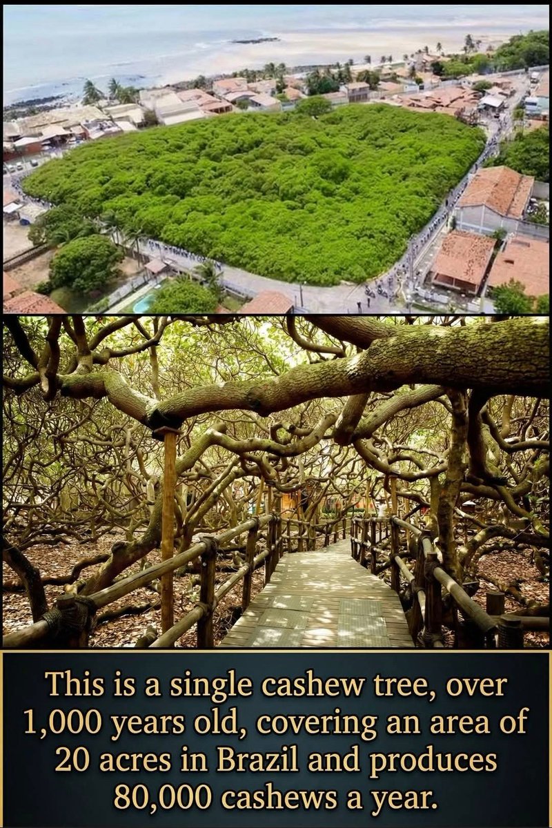 Daniel7:25🙏❤️🙌 (@qdrop2450) on Twitter photo 