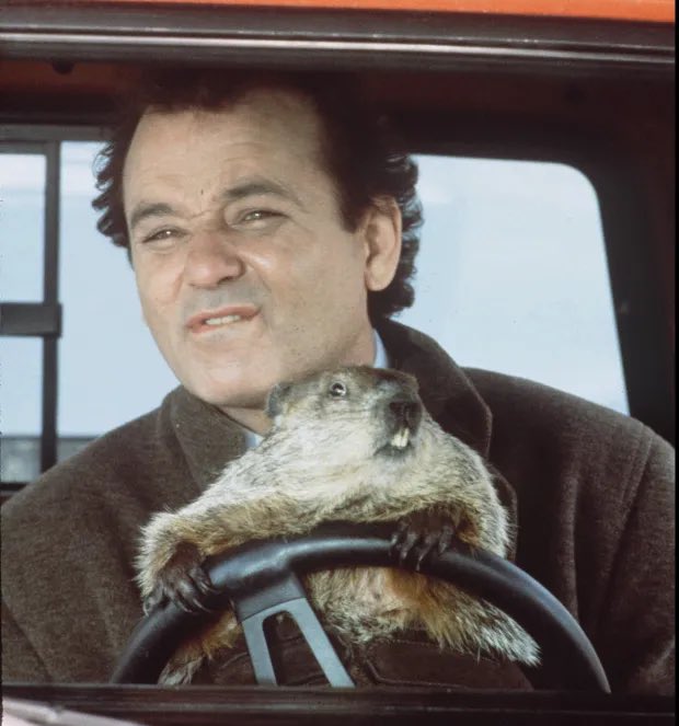 Lisa Goudy tweet media