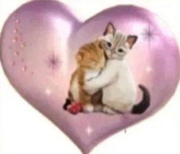 Sweet_mocha07's tweet photo. @kiaraOf101 GRACIAS PRECIOSA T AMO https://t.co/mN7giYFnNy