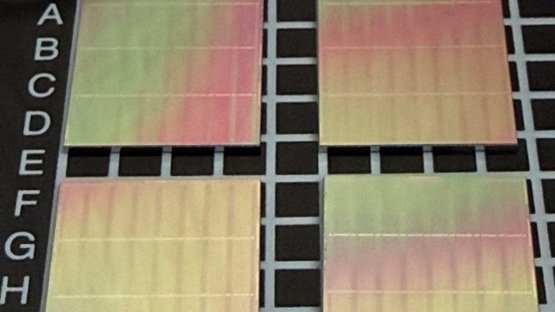 Intel Policy tweet media