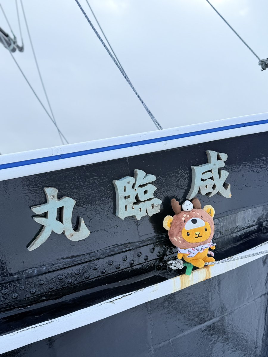 キュンちゃん【公式】 (@kyunchan_dc) / Posts / X