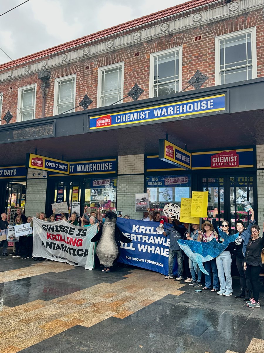 Bob Brown Foundation tweet media