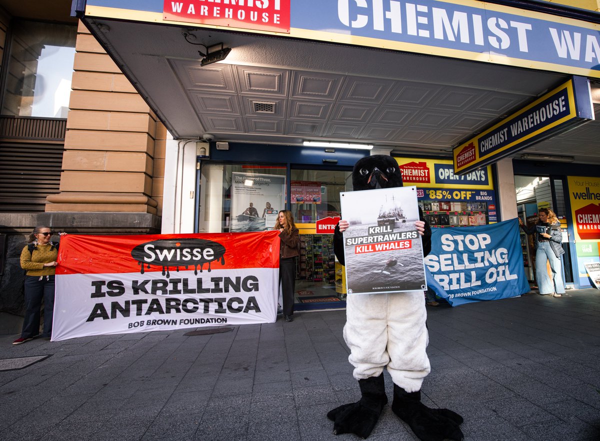 Bob Brown Foundation tweet media