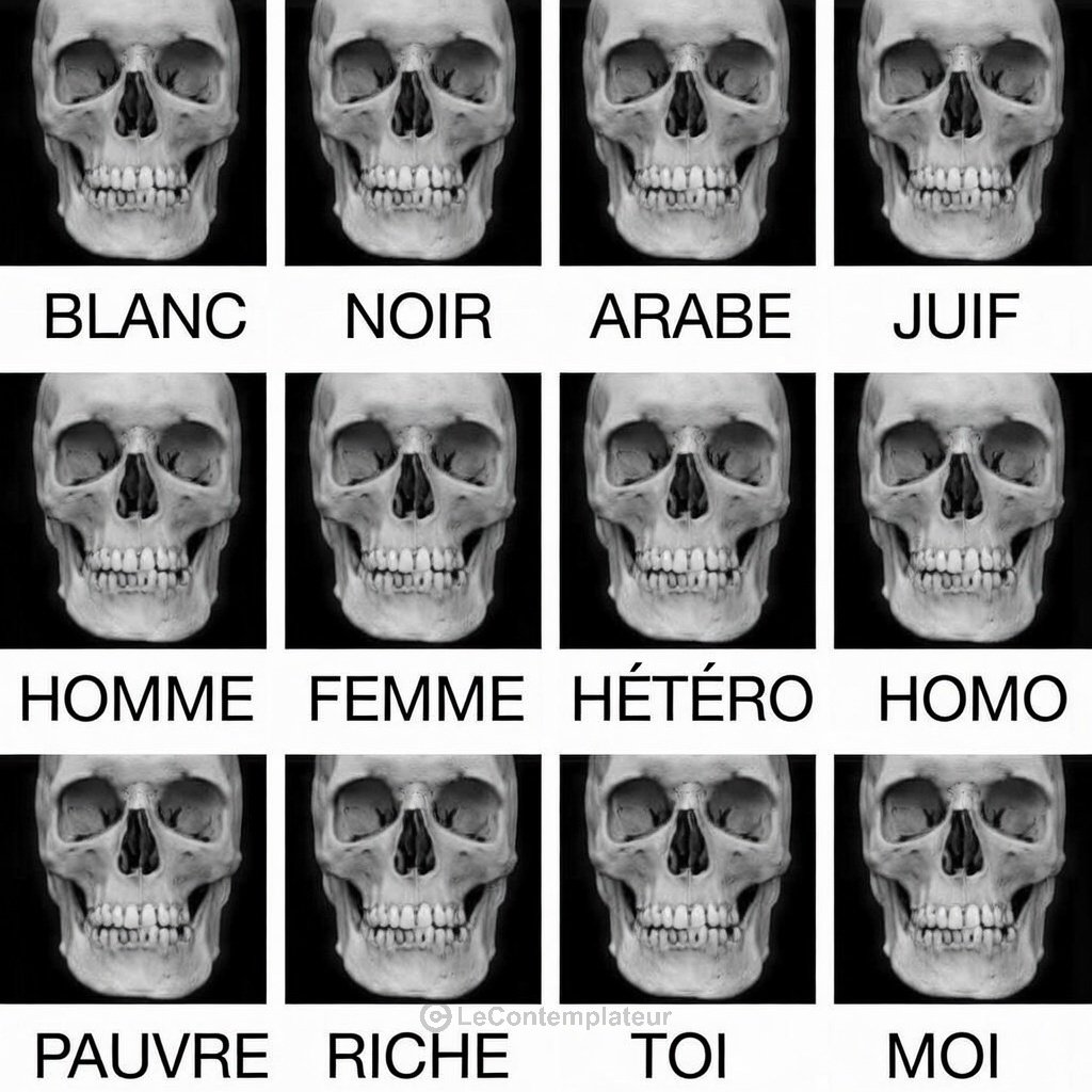 LeContempIateur's tweet image. Peut-être qu'un jour les humains comprendront... 🧠