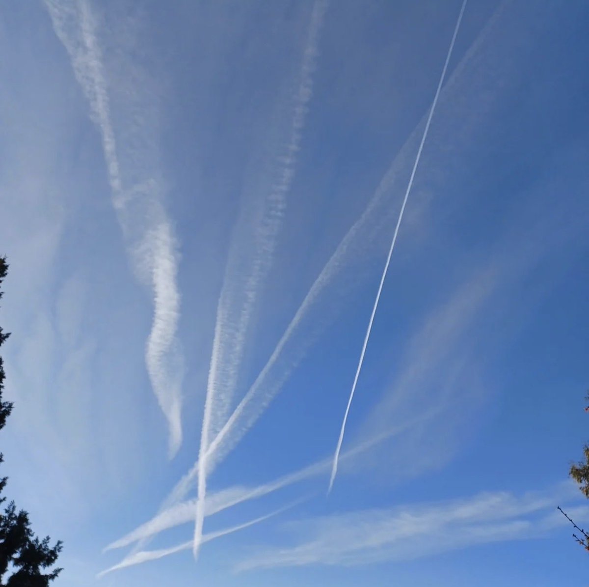 JHurley.ETH tweet media