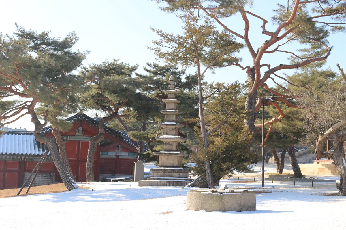창경궁 tweet media