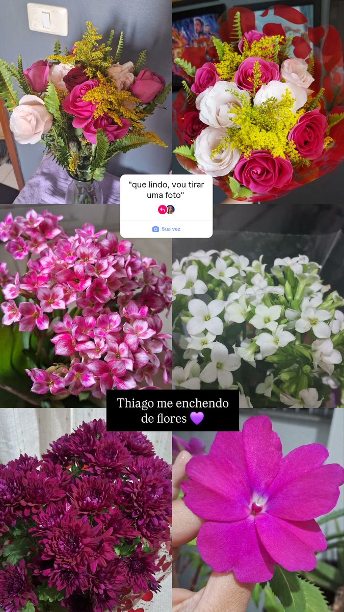 juiasamara's tweet photo. Postei isso e no dia seguinte metade morreu... quem foi a mal amada que não recebe flor do namorado que me rogou praga? https://t.co/cHadgUTXMj