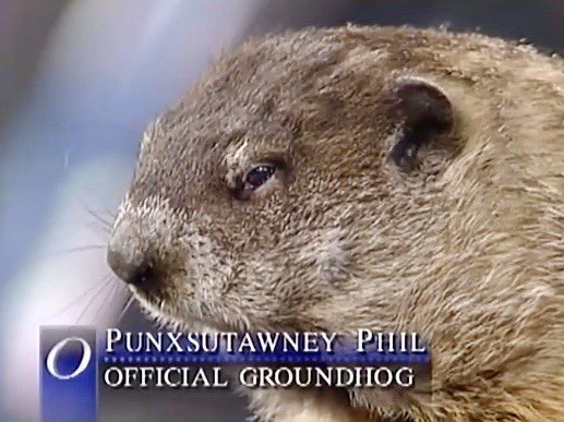 RetroNewsNow's tweet image. 📺On February 2, 1995, Punxsutawney Phil appeared on ‘The Oprah Winfrey Show’ #GroundhogDay