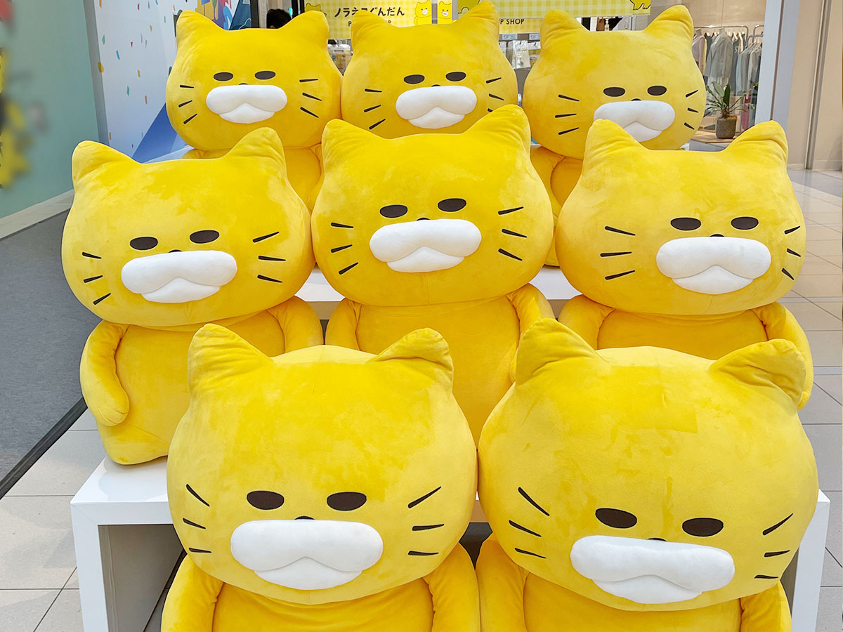 ノラネコぐんだん公式 (@noraneko_room) / Posts / X