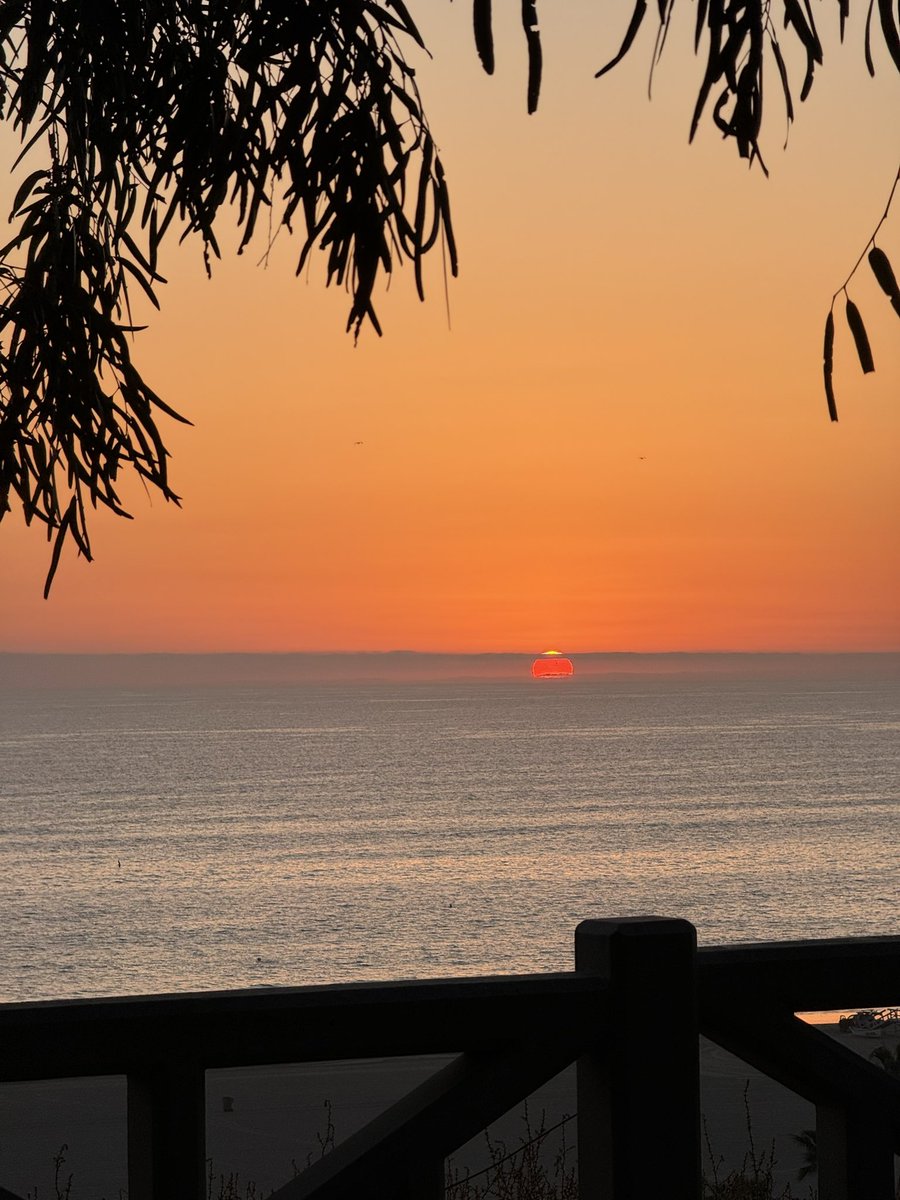 一排人类安安静静地看夕阳🌇