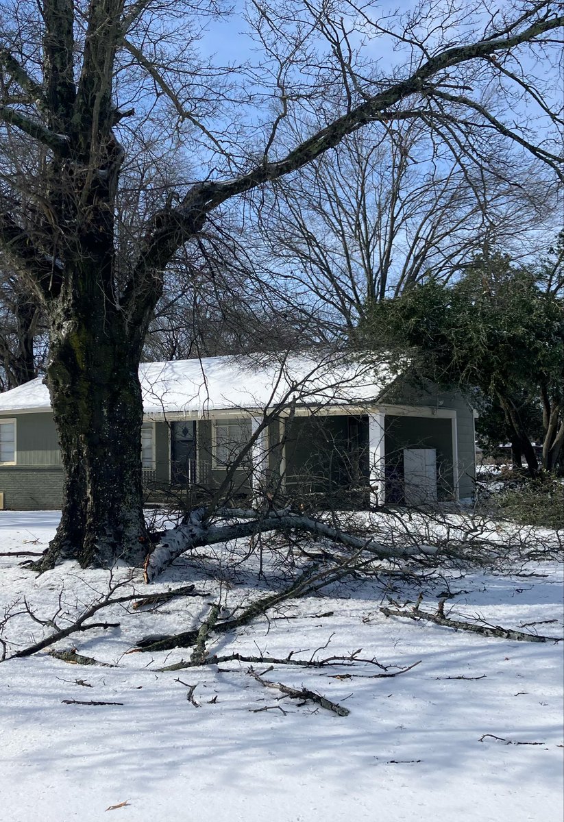 JEFFLEFFLER's tweet photo. Our Cleveland, MS, house post winter storm Fern https://t.co/kmET4yoYyA