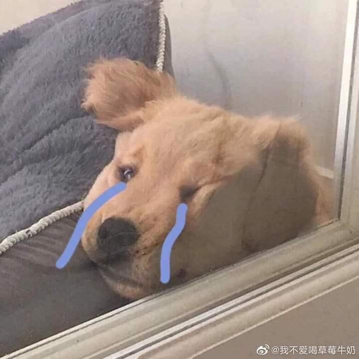 ช้านไม่อยากเติบโต ช้านอยากเปนเด่กตลอดไป