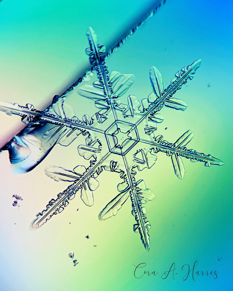 CoraAHarris's tweet photo. Snow crystals are beautiful works of God, and with the words of King David I say: “Among the gods there is none like unto thee, O Lord; 𝐍𝐄𝐈𝐓𝐇𝐄𝐑 𝐀𝐑𝐄 𝐓𝐇𝐄𝐑𝐄 𝐀𝐍𝐘 𝐖𝐎𝐑𝐊𝐒 𝐋𝐈𝐊𝐄 𝐔𝐍𝐓𝐎 𝐓𝐇𝐘 𝐖𝐎𝐑𝐊𝐒. (Psalm 86:8).

#WorksofArt #Snow #Creation https://t.co/qD2mk47mL2