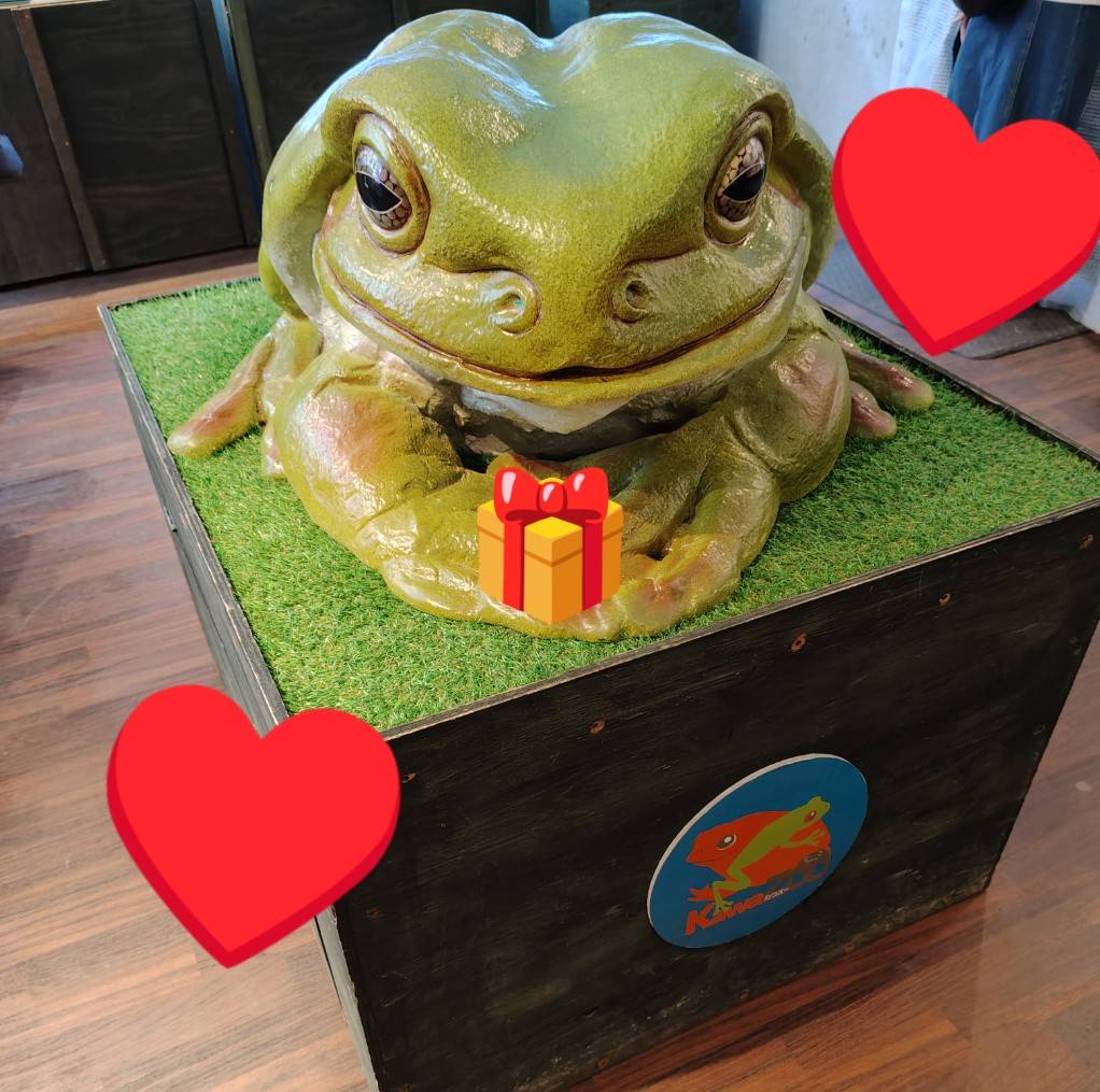 iZooに行ったという事は… もちろんKawaZooにも行きましたよ🥰 ここは