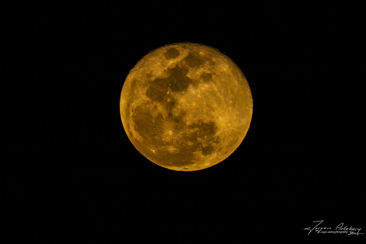 Jorgen Asteberg tweet media