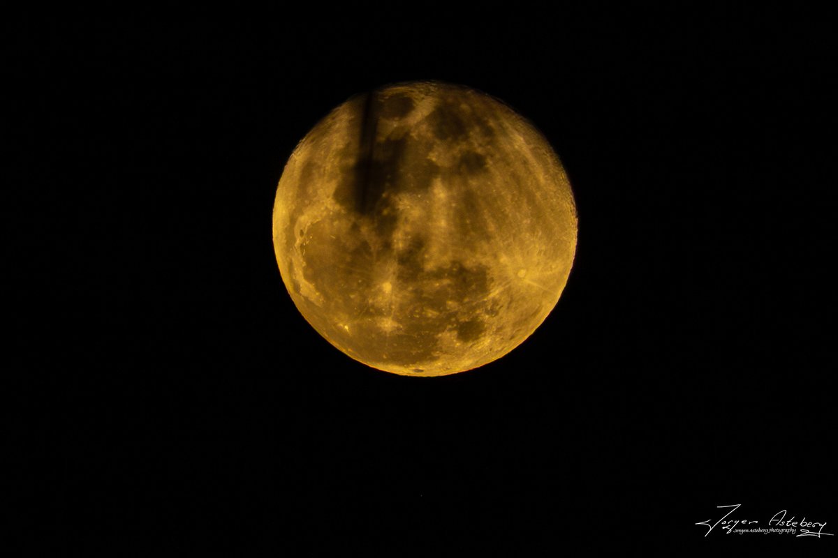 Jorgen Asteberg tweet media