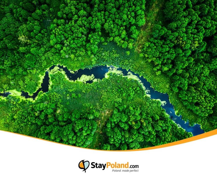 Poland ranks among Europe’s most forested nations, with nearly one-third of the country under trees. From lowland pine to mountain beech, these protected, well-managed forests are easy to explore—nature is a daily companion, not a distant backdrop.