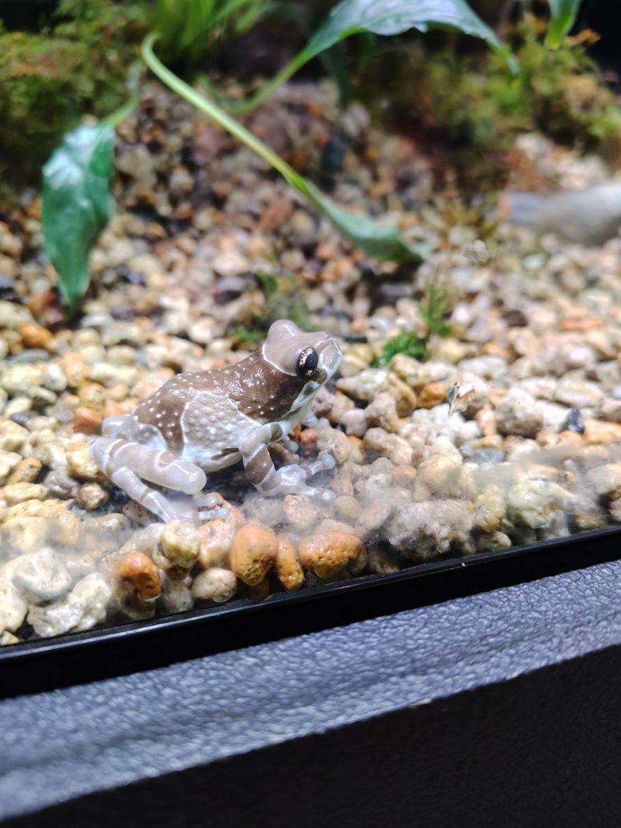 iZooに行ったという事は… もちろんKawaZooにも行きましたよ🥰 ここは