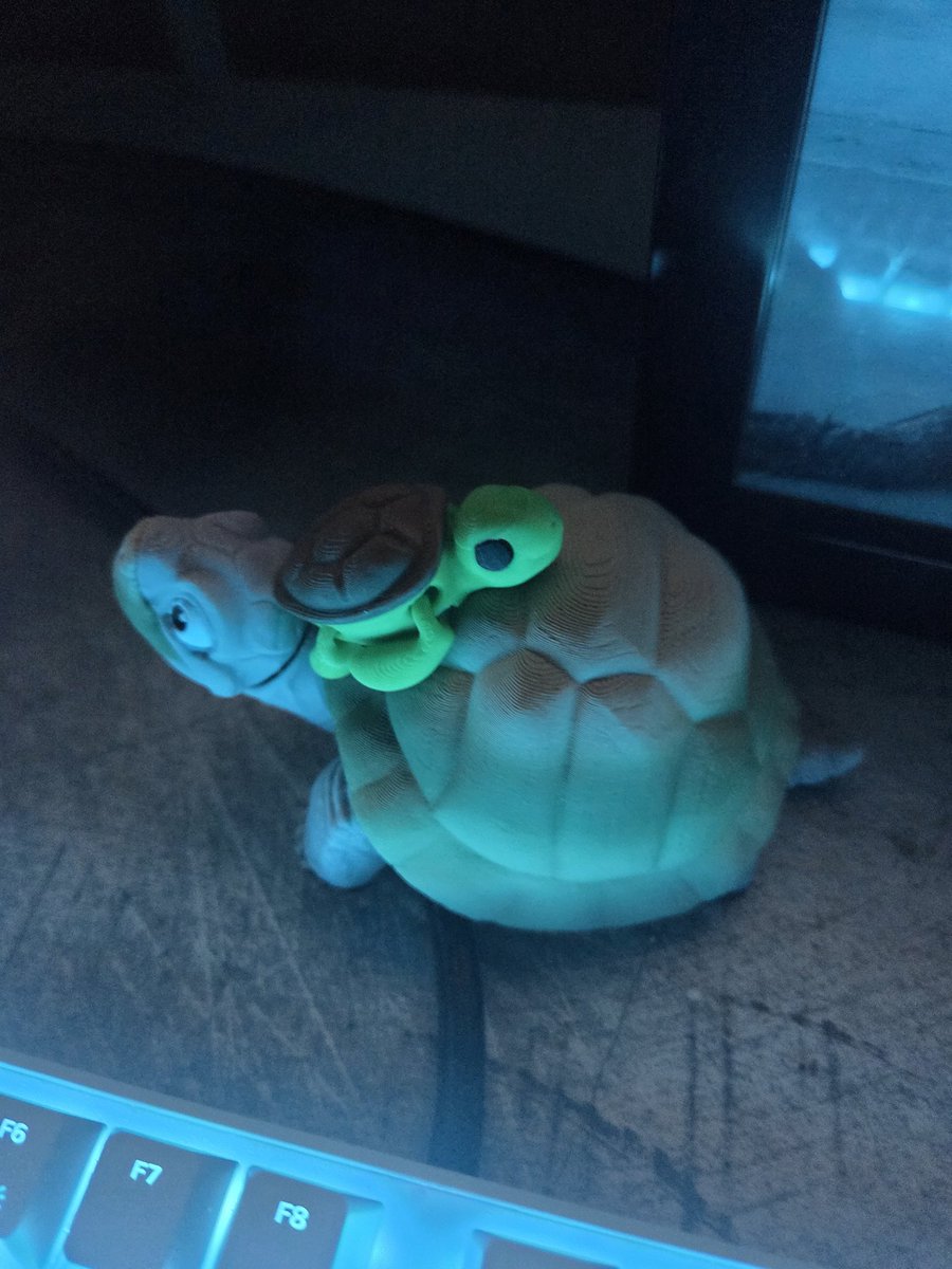 TurtleVibing tweet media