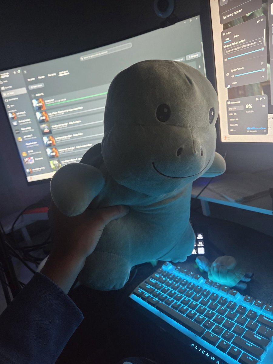 TurtleVibing tweet media