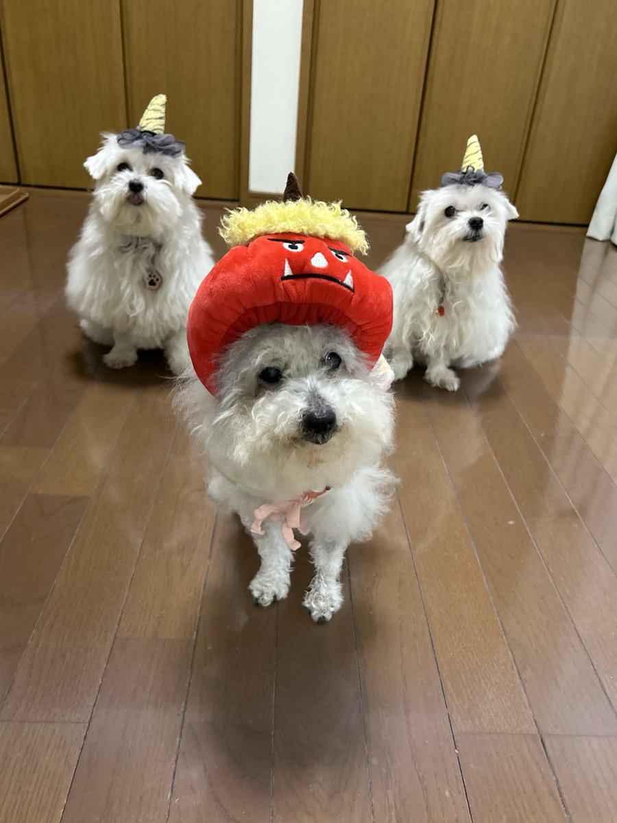 ハルくん (@9Z8lquSv8B3FMpN) / Posts / X