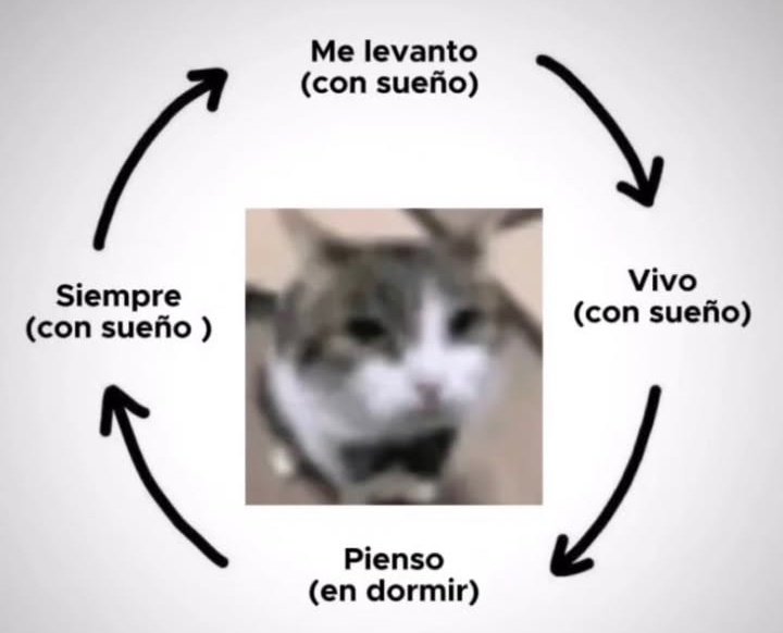 𓂃˖˳·˖ ִֶָ ⋆𝓫𝓮𝓴𝓪𝓪⋆ ִֶָ˖·˳˖𓂃 ִֶָ (@b3k4thh) on Twitter photo 