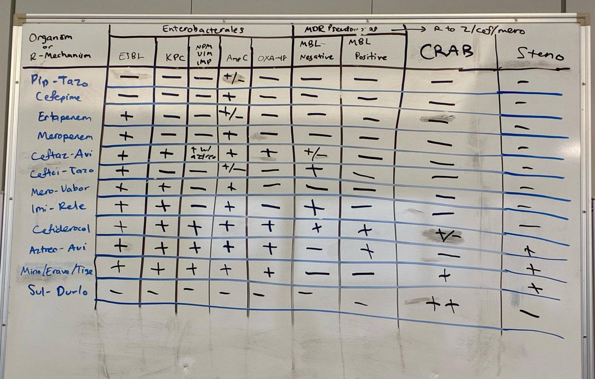 ccf_idfellows's tweet photo. Excellent chalk talk by our pharmacist, Dr. Rust on antimicrobial resistance mechanisms and how to choose the right agents for MDR Gram-negatives. 🧫🦠 
#IDTwitter #AntimicrobialStewardship #MedEd https://t.co/T4DFQ3bMXl