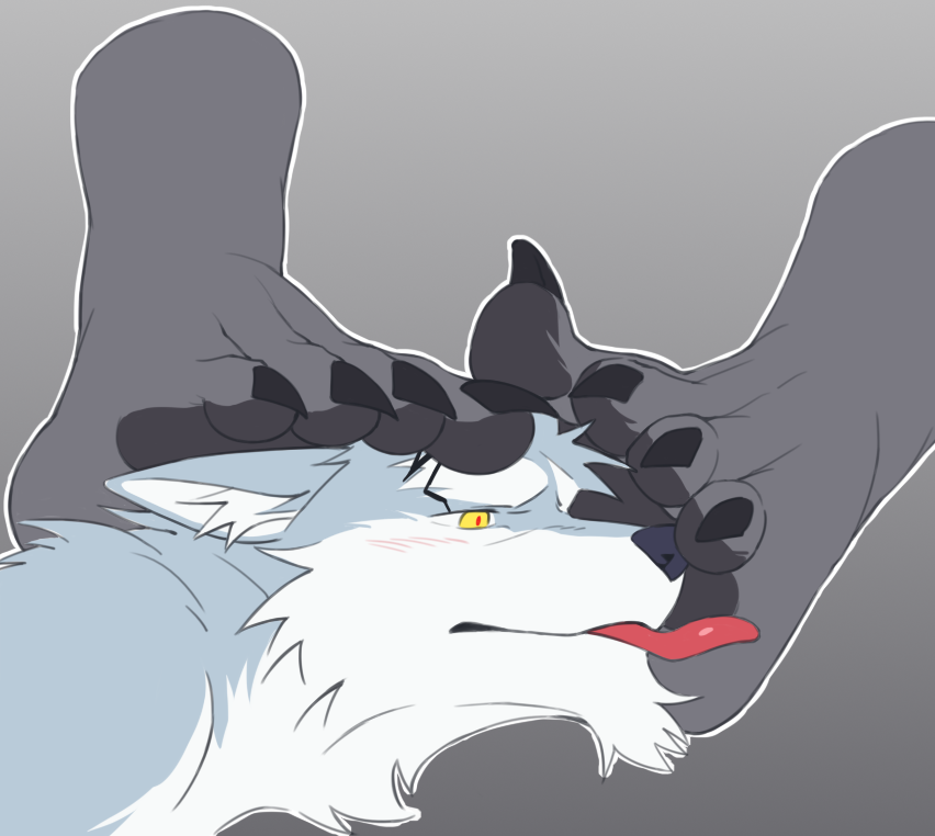 冰狼小寒 (@icewolfhan) on Twitter photo 